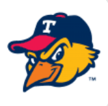 Toledo Mud Hens